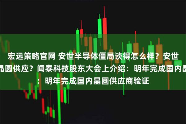 宏远策略官网 安世半导体僵局谈得怎么样？安世中国如何解决晶圆供应？闻泰科技股东大会上介绍：明年完成国内晶圆供应商验证