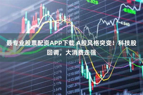 最专业股票配资APP下载 A股风格突变！科技股回调，大消费走强