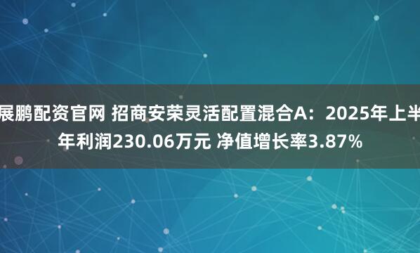 展鹏配资官网 招商安荣灵活配置混合A：2025年上半年利润230.06万元 净值增长率3.87%