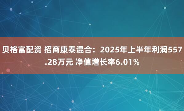 贝格富配资 招商康泰混合：2025年上半年利润557.28万元 净值增长率6.01%
